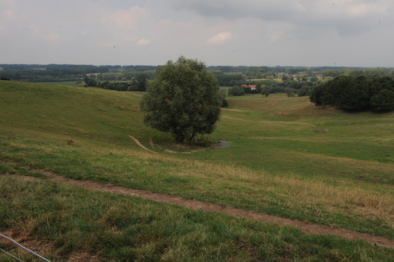 Dsc_0896