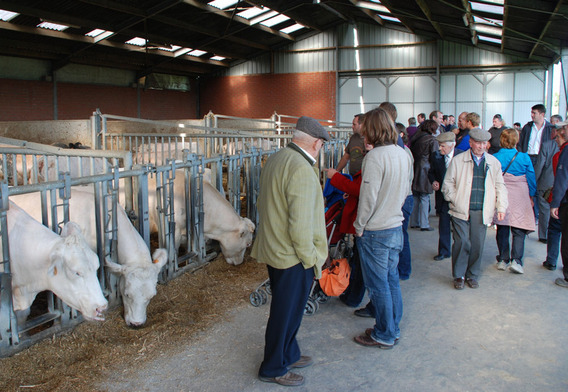 Editiepajot_lennik_dag_van_de_landbouw_foto_steven_walravens