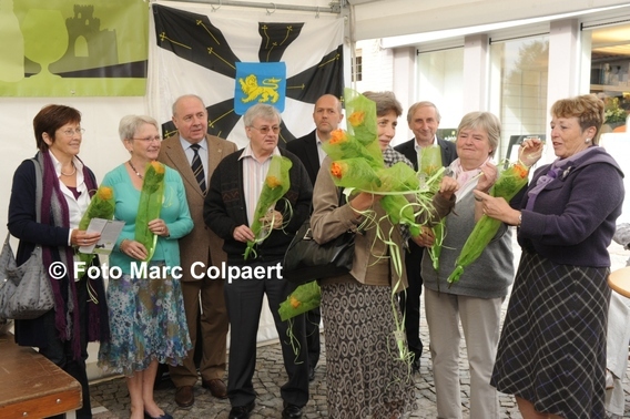 Editiepajot_galmaarden_paard_2_bewerkt