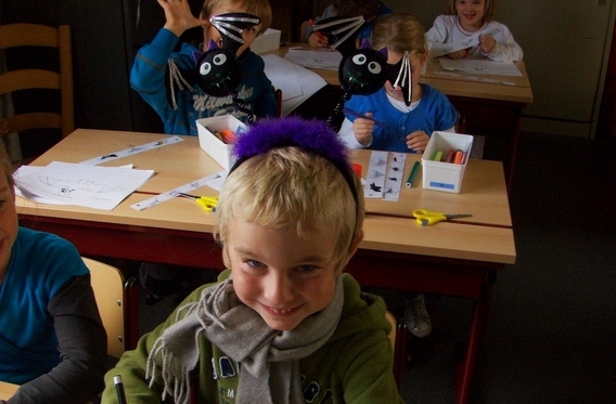 Editiepajot_roosdaal_vleermuizen_foto_01_willy_appelmans
