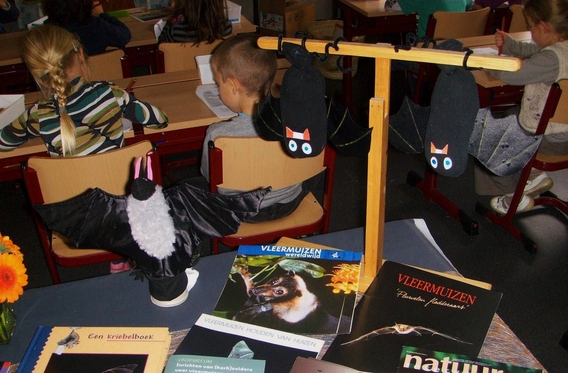 Editiepajot_roosdaal_vleermuizen_foto_03_willy_appelmans