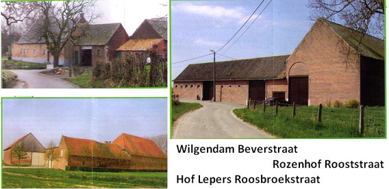 Wandeling_10_okt_2010