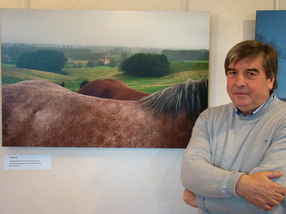 Tentoonstelling_luc_bohez_okt_2010_-_deschuyffeleer__7_
