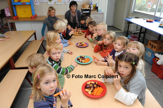 Editiepajot_galmaarden_gezond_herhout_1_bewerkt