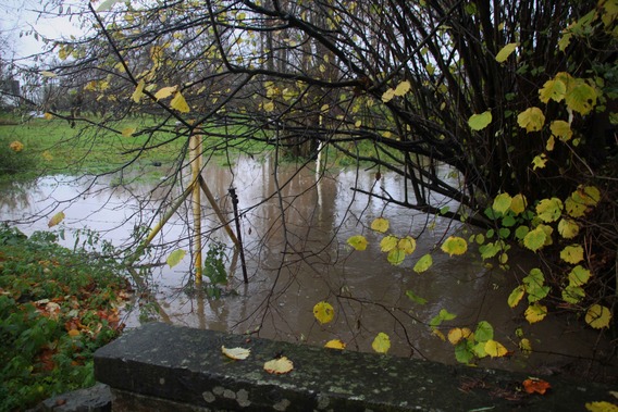 Editiepajot_roosdaal_beek_foto_01_willy_appelmans