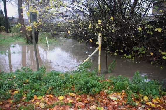 Editiepajot_roosdaal_beek_foto_02_willy_appelmans