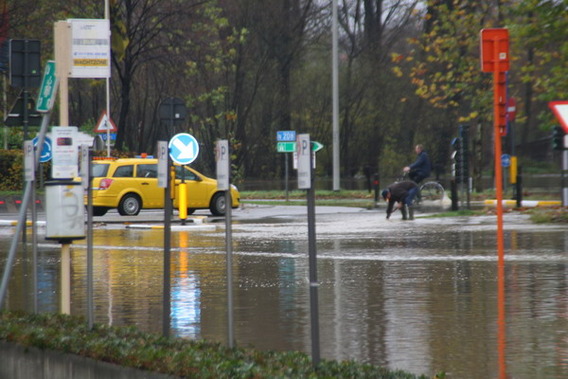 Editiepajot_liedekerke_waterellende_zondag_14_nov_foto_jacky_delcour__2_