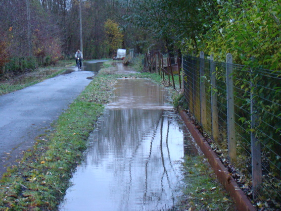 Dsc09601