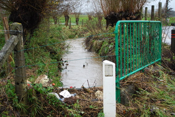 Editiepajot_ternat_waterweg_foto_guido_van_cauwelaert__1_