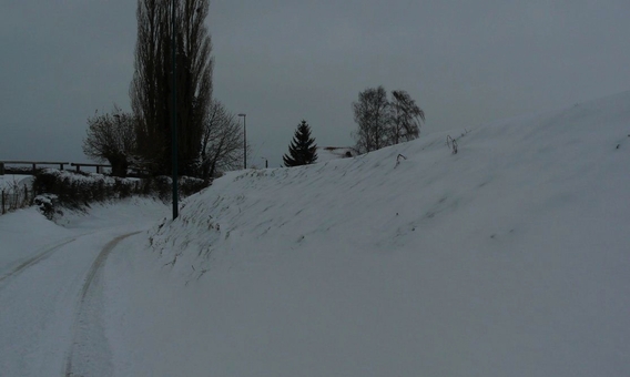 Editiepajot_roosdaal_sneeuwmolenstraat_foto_02_willy_appelmans