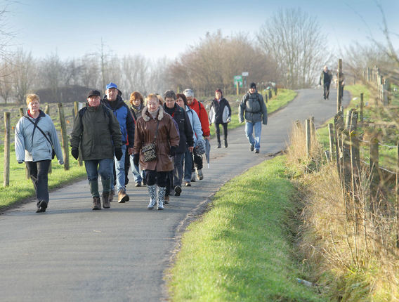 Editiepajot_roosdaal_nieuwjaarstocht2010_foto_01_willy_appelmans