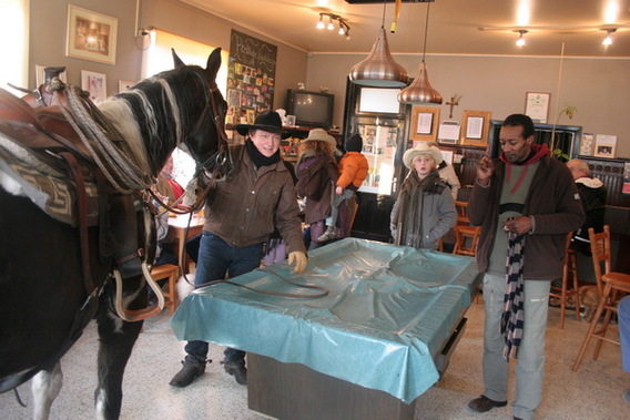 Editiepajot_ternat_lombeek_paard_op_cafe_foto_guido_van_cauwelaert__2_