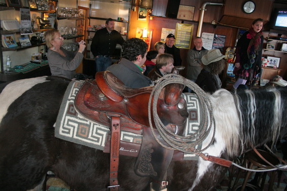 Editiepajot_ternat_lombeek_paard_op_cafe_foto_guido_van_cauwelaert__1_