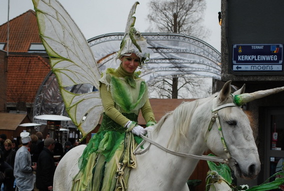 Editiepajot_ternat_midwinter_lombeek_05022011_foto_guido_van_cauwelaert