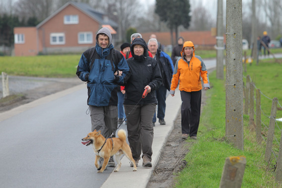 Wandeltocht_elingen