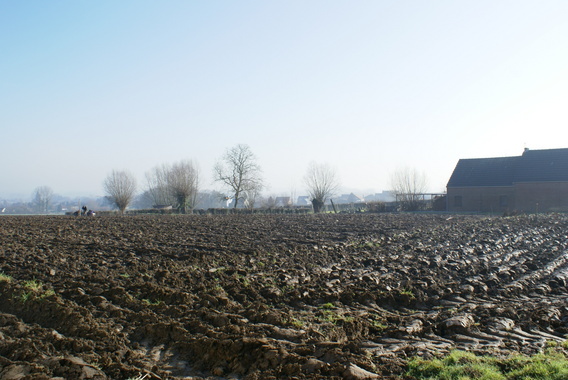 Aanplant_haag_bever_rlzzz___10_