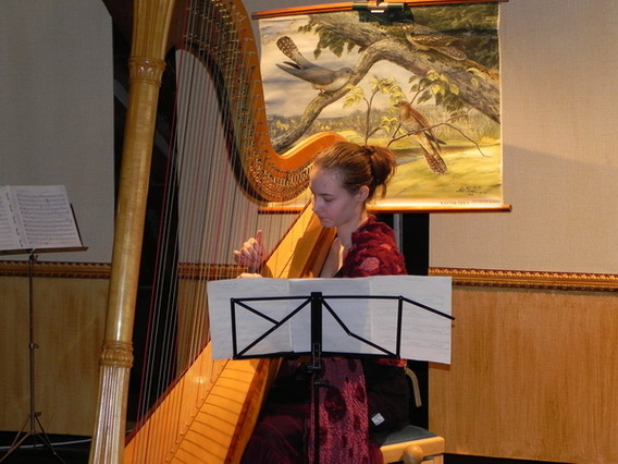 Editiepajot_asse_vijverbeek_concert_foto_gerrit_achterland__2_