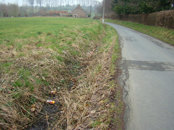 Sluikstorten_in_de_omgeving_van_de_processiestraat_herne_feb_2011-deschuyffeleer__13_