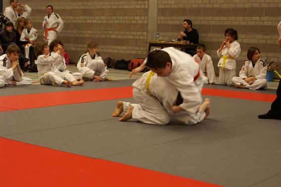 Xander_maes_in_actie_2__gele_gorde_