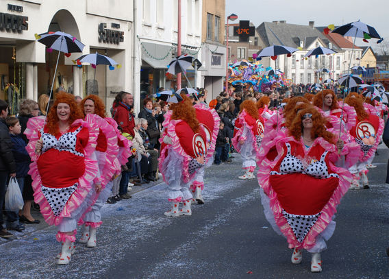 Editiepajot_asse_33ste_carnavalstoet_2__foto_steven_walravens