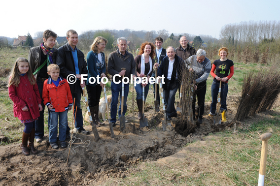 Editiepajot_gooik_bomen_aanpl_5_bewerkt