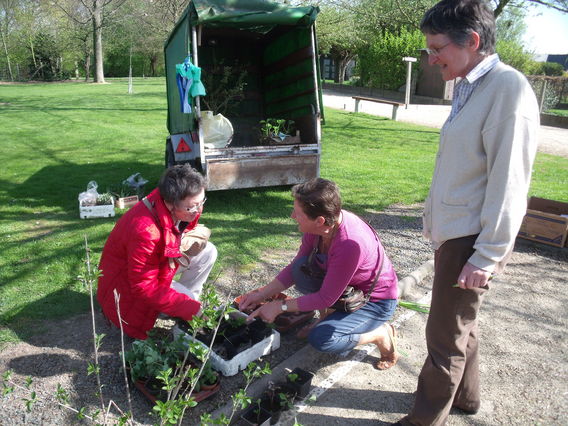 Plantenruilbeurs_april_2011_-_deschuyffeleer__2_