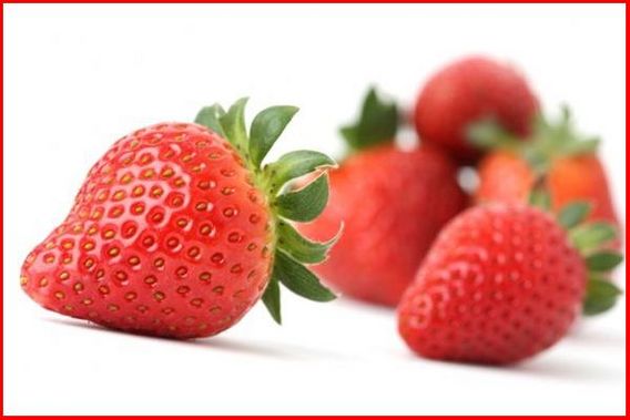 Aardbeien_2011_p600