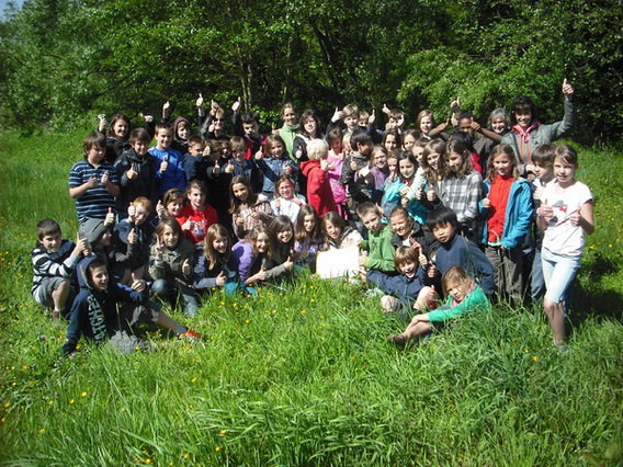 Editiepajot_beersel_peterschap_natuurgebied_rilroheide_foto_gerrit_achterland