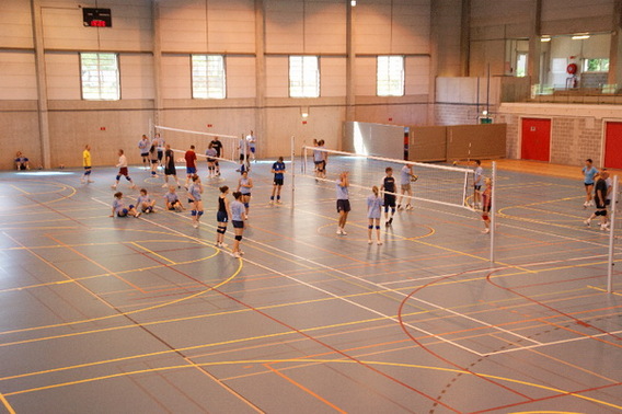 Editiepajot_ruisbroek_volleybal_foto_elsie_de_greef