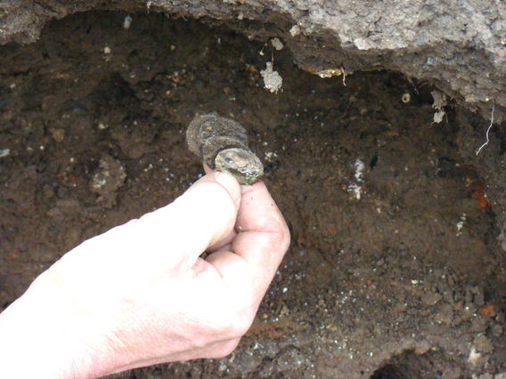 Editiepajot_oude_munten_gevonden_in_bever__4_