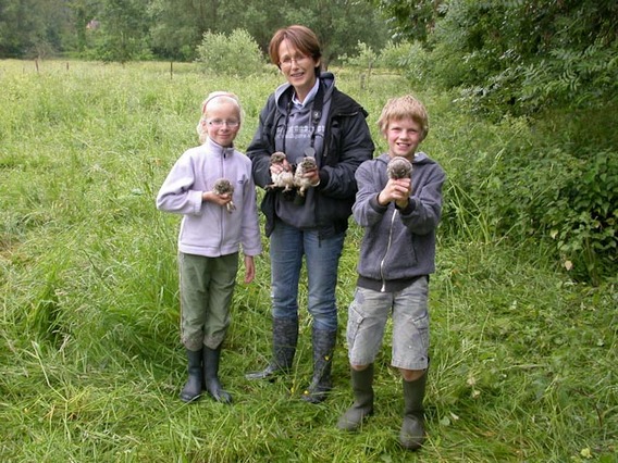 Editiepajot_sint-pieters-leeuw_jonge_steenuilen_foto_gerrit_achterland__1_