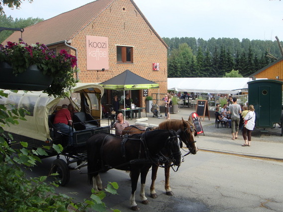 Editiepajot_dilbeek_versalg_breugheldag_foto_peter_wiels