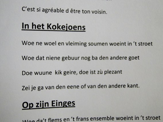60_jaar_getrouwd_alice_en_theofiel__32_