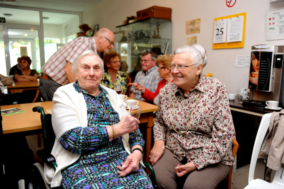 Editiepajot_galmaarden_zwaluw_2_bewerkt