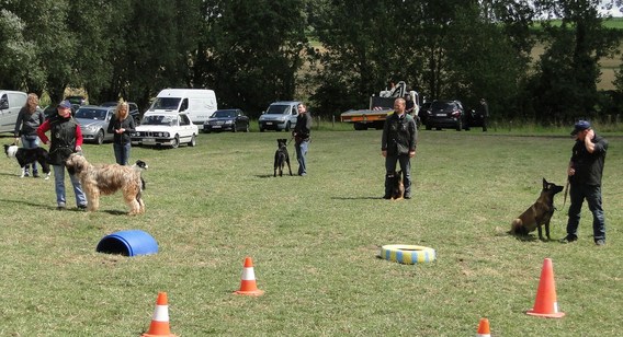 Waanzinnig_weekend_op_zondag_2011_-_deschuyffeleer__70_