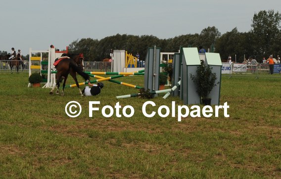 Editiepajot_galmaarden_pony_2_bewerkt