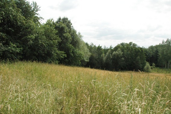 Editiepajot_spl_baesberg_1_i_f