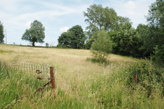 Editiepajot_spl_baesberg_2_i_f