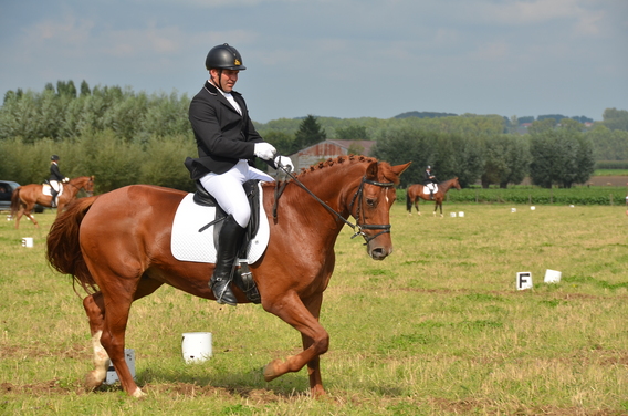 Ruitertornooi_markruiters_2011_-_foto_kobe_nevens___3_