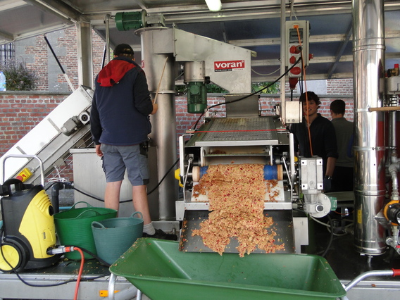 Mopbiele_fruitpers_in_herfelingen__2_