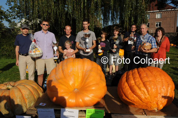 Editiepajot_gooik_pompoen_1_foto_marc_colpaert
