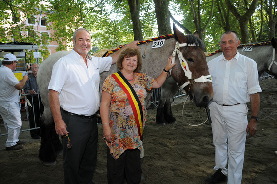 Editiepajot_spl_paarden_6_i_f