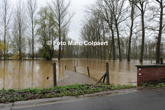 Editiepajot_galmaarden_hollestraat_1_bewerkt