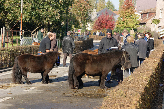 Editiepajot_spl_vlezenbeek_3_foto_degreef