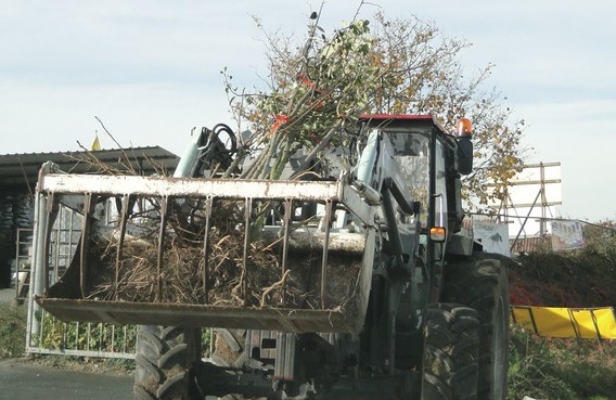 Vriend_van_het_groene_lint_boompjesverkoop_-_deschuyffeleer__4_