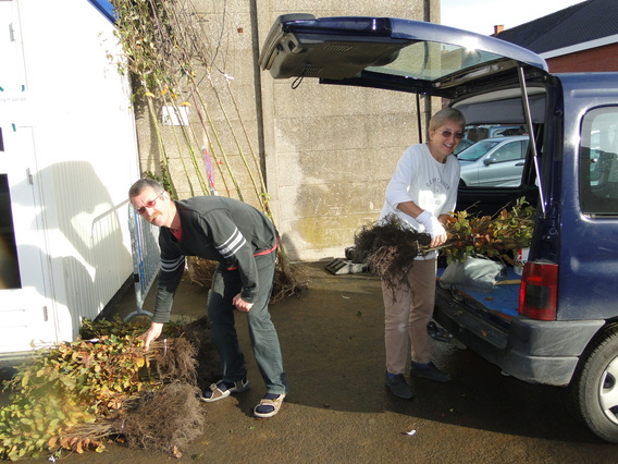 Vriend_van_het_groene_lint_boompjesverkoop_-_deschuyffeleer__3_