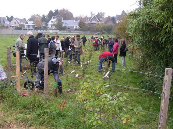 Editiepajot_dilbeek_pasar_boomt_ingezonden_foto__3_