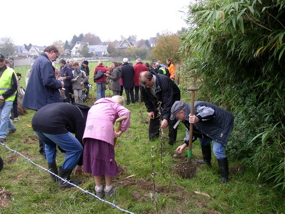 Editiepajot_dilbeek_pasar_boomt_ingezonden_foto__1_