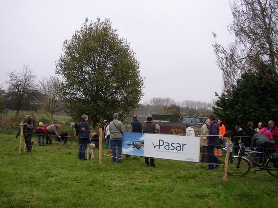 Editiepajot_dilbeek_pasar_boomt_ingezonden_foto__2_
