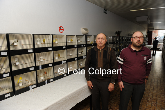 Editiepajot_galmaarden_vogelpracht_2_foto_marc_colpaert